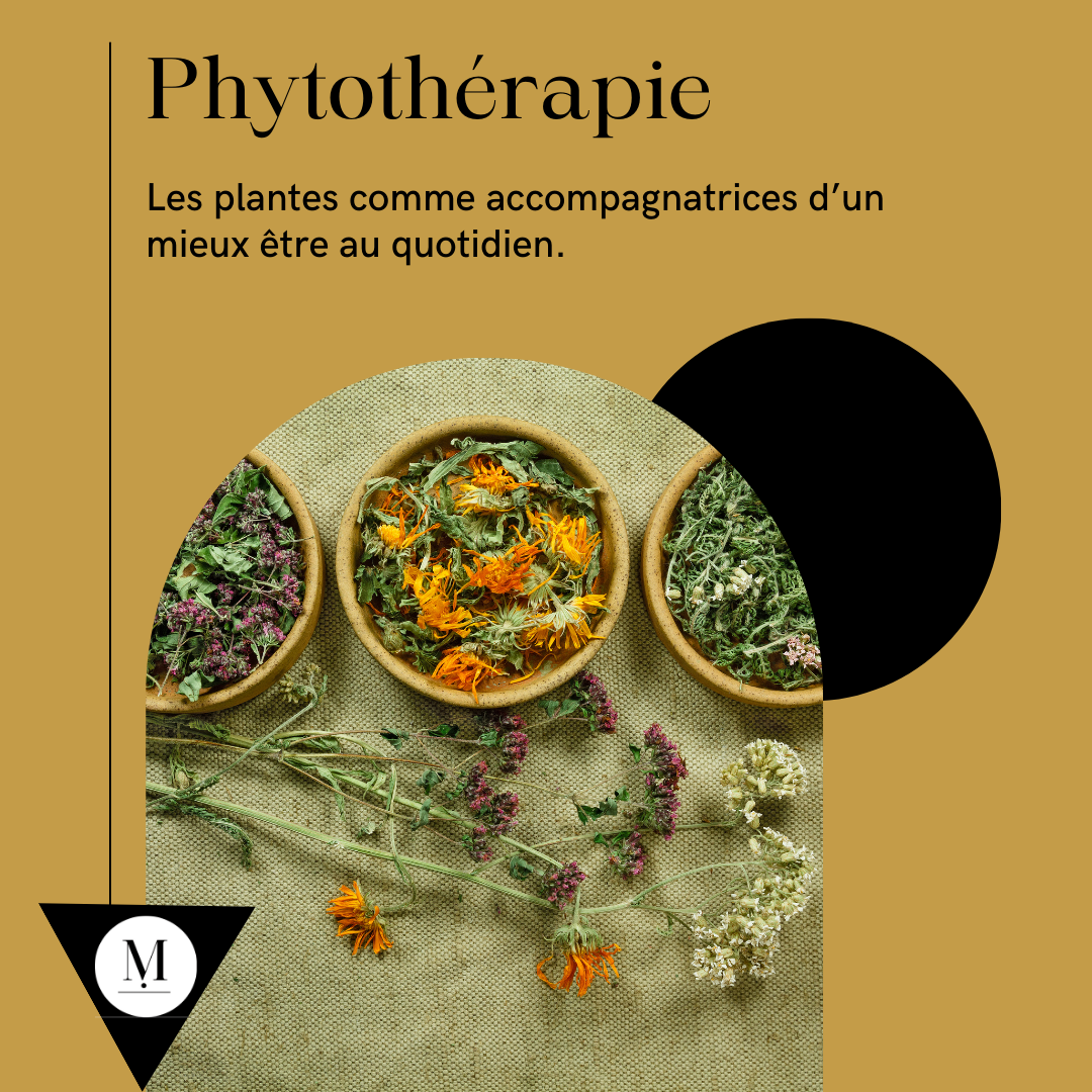 Marie-Elia , Naturopathe et Thérapeute énergétique, Capbreton et Ondres