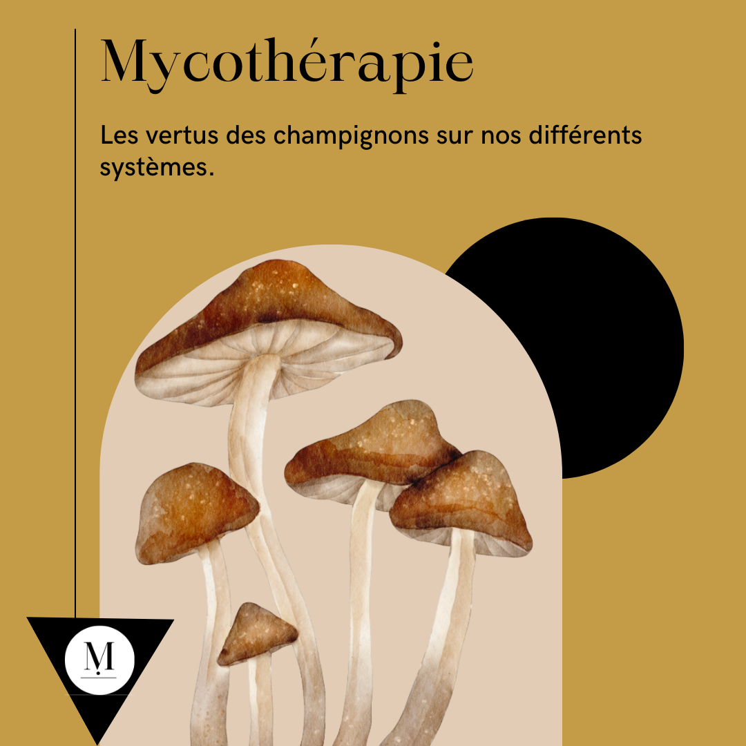 Marie-Elia , Naturopathe et Thérapeute énergétique, Capbreton et Ondres